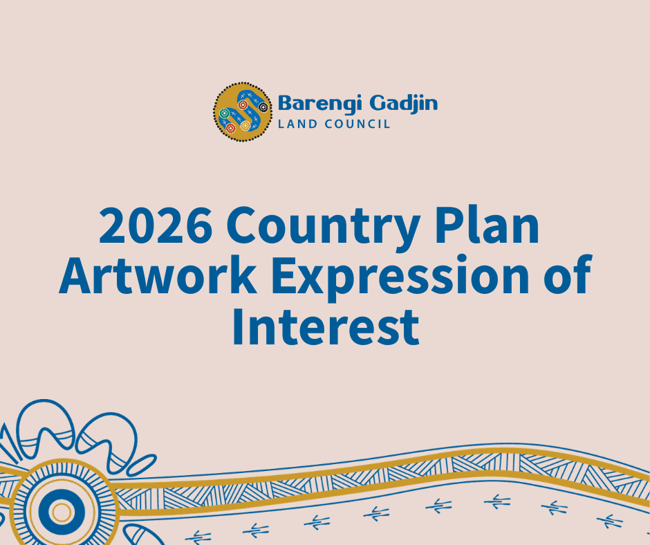 Expression of Interest: Artwork for 2026 Country Plan Review