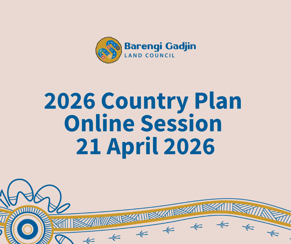 Online Session: Country Plan Review 2026
