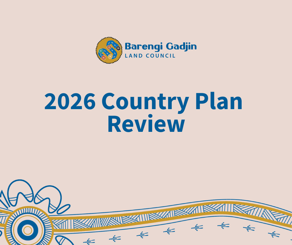 Be Part of the Country Plan Review 2026